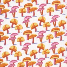 Cloud9 Comforts of home - Mushrooms