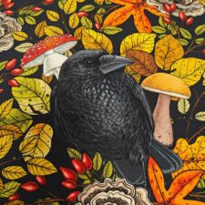 Hazeltjes Crow Black organic summersweat - Afbeelding 4