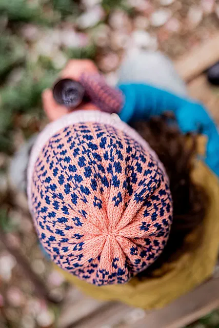 Breien met kleur - Carmen Jorissen - boek - Afbeelding 7