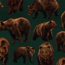 PaaPii x Finsket Bears Juniper sweatshirt knit brushed, dark green, verwachte levering november 2025