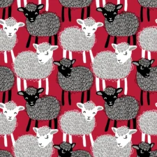 Paapii Baa organic sweatshirt knit, red, verwachte levering november 2025