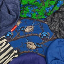 Hazeltjes Fairy Wren organic jersey