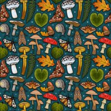 Hazeltjes Moths and Mush Dark Petrol, summersweat, verwachte levering augustus- september 2026