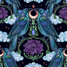 Hazeltjes Moon Crow jersey, verwachte levering augustus- september 2026
