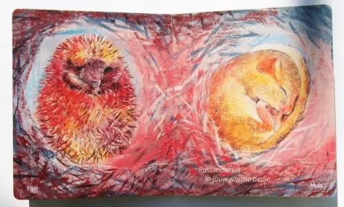 Christofoor Klein Slaapdierenboek - Loes Botman - Afbeelding 3