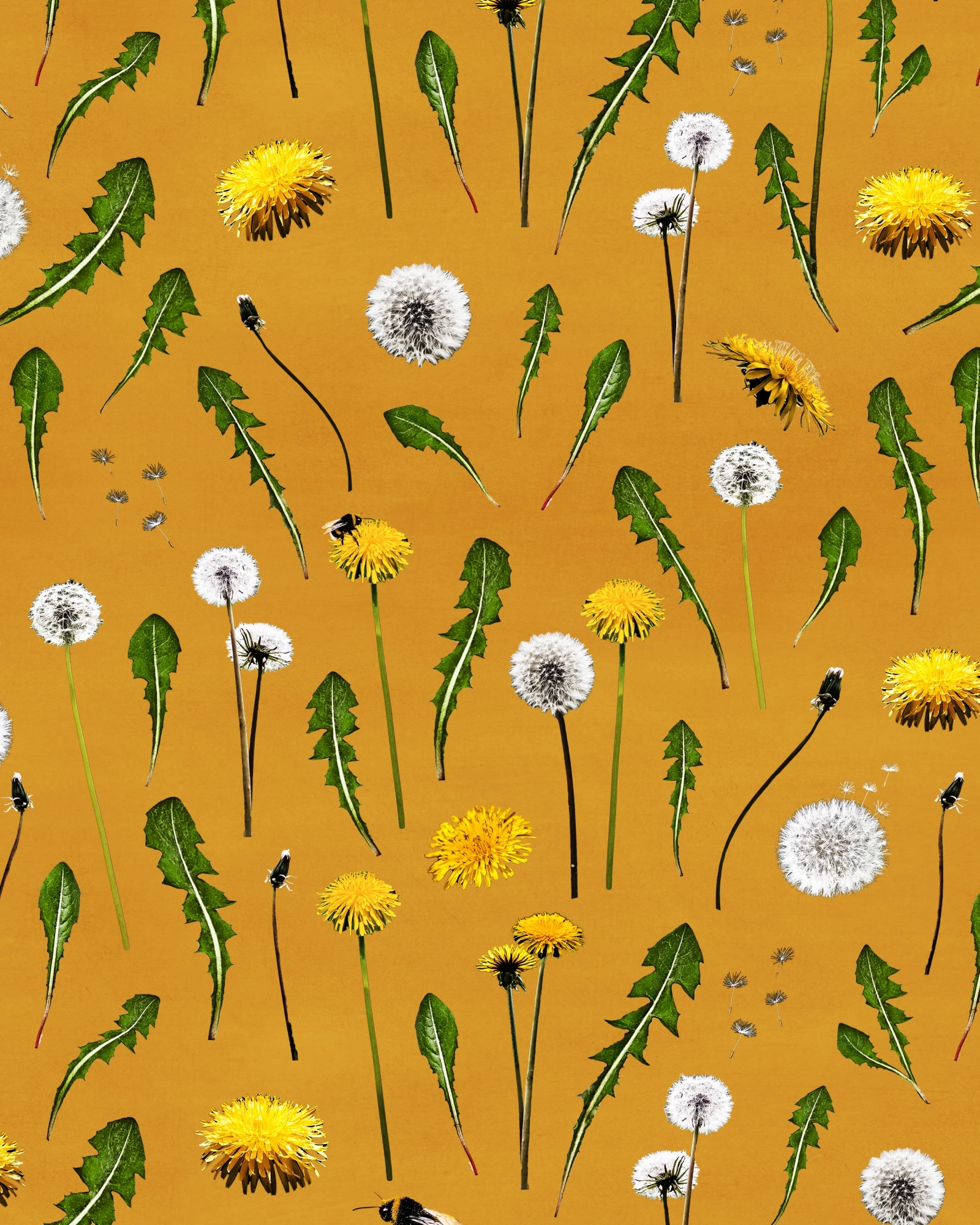 PaaPii x Finsket Dandelions Amber jersey, ochre