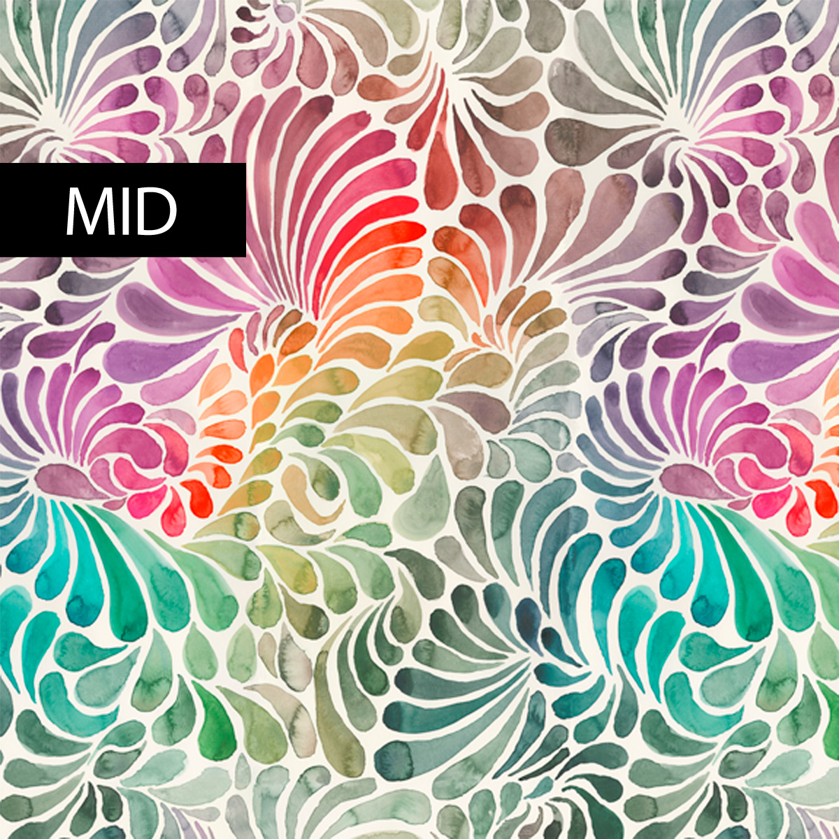 ColorDrops MID - sweet energy