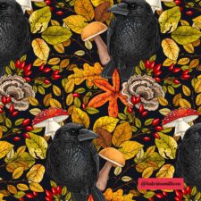 Hazeltjes Crow Black  organic summersweat (150cm)