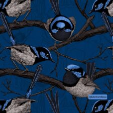 Hazeltjes Fairy Wren  organic summersweat