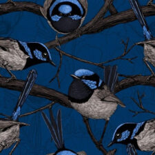 Hazeltjes Fairy Wren  organic summersweat, verwachte levering juli 2026