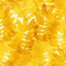 PaaPii Grove jersey, yellow, verwachte levering juli 2026