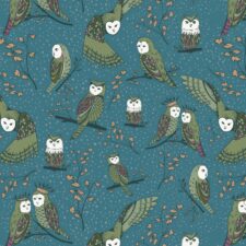 Cloud9 Black Forest  - 229262 -  Owlette | Teal, verwachte levering oktober-november 2026