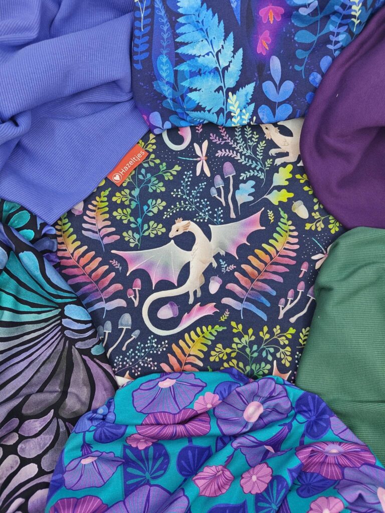 Hazeltjes Forest Dragons Rainbow Navy, organic summersweat - Afbeelding 4