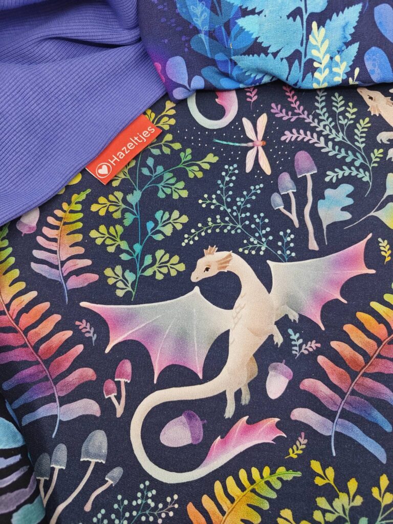 Hazeltjes Forest Dragons Rainbow Navy, organic summersweat - Afbeelding 5