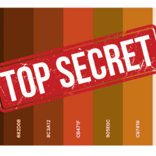 Hazeltjes Mystery Stof Squirrel, summersweat, verwachte levering september - oktober  2026
