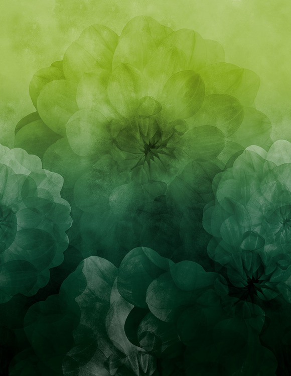 Let op, niet bio! Astrokatze Dahlia Maxima - lovely green - Modaljersey, verwachte levering eind september 2026