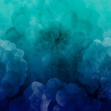Let op, niet bio! Astrokatze  Dahlia Maxima - cool blue - Modaljersey , verwachte levering eind september 2026