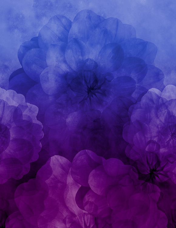 Let op, niet bio! Astrokatze Dahlia Maxima - electric violet - Modaljersey , verwachte levering eind september 2026